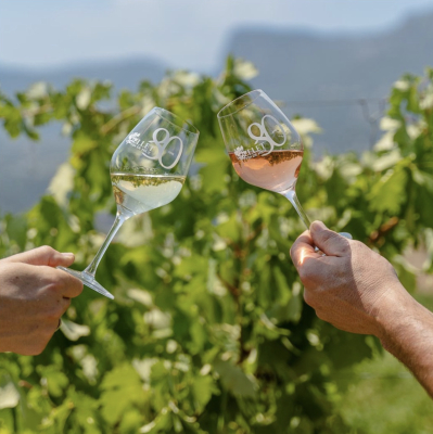 Visite, dégustation et amuse bouche - Domaine Saint Jean